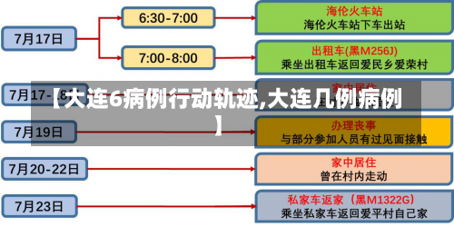 【大连6病例行动轨迹,大连几例病例】-第2张图片