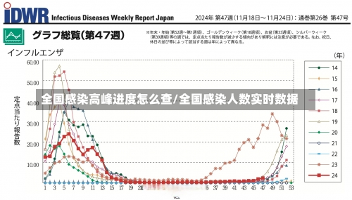 全国感染高峰进度怎么查/全国感染人数实时数据-第2张图片