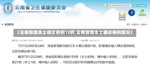 【云南新增本土确诊病例12例,云南新增本土确诊病例情况】-第2张图片