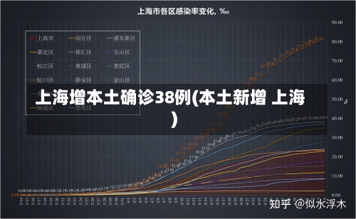 上海增本土确诊38例(本土新增 上海)-第3张图片