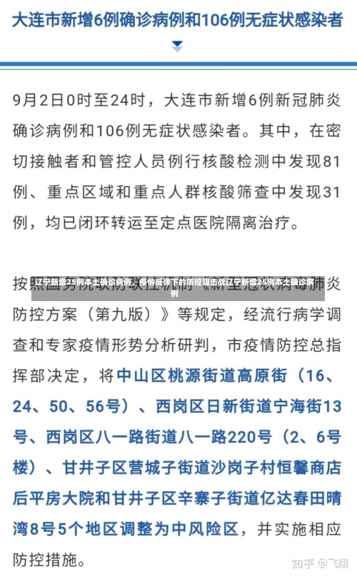 辽宁新增25例本土确诊病例，疫情反弹下的防控阻击战辽宁新增25例本土确诊病例-第1张图片