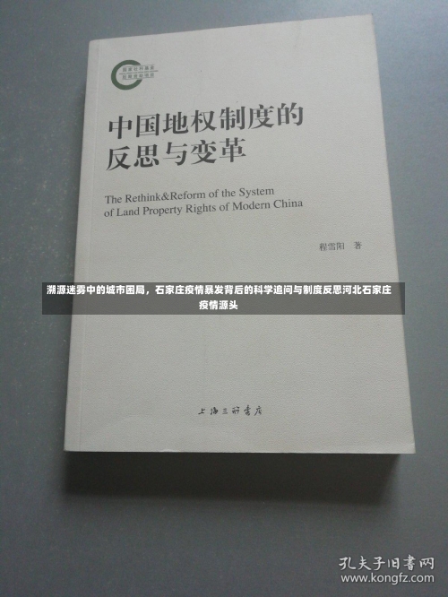 溯源迷雾中的城市困局，石家庄疫情暴发背后的科学追问与制度反思河北石家庄疫情源头-第1张图片