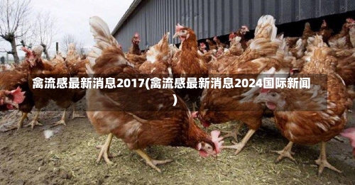 禽流感最新消息2017(禽流感最新消息2024国际新闻)-第2张图片