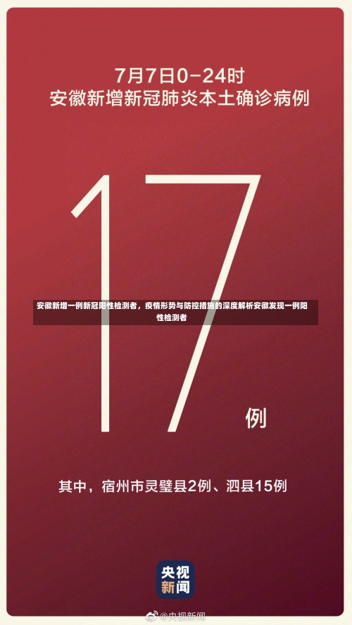 安徽新增一例新冠阳性检测者，疫情形势与防控措施的深度解析安徽发现一例阳性检测者-第1张图片