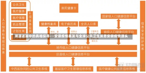 溯源迷雾中的真相探寻——安徽疫情暴发与全球公共卫生反思安徽疫情源头-第3张图片