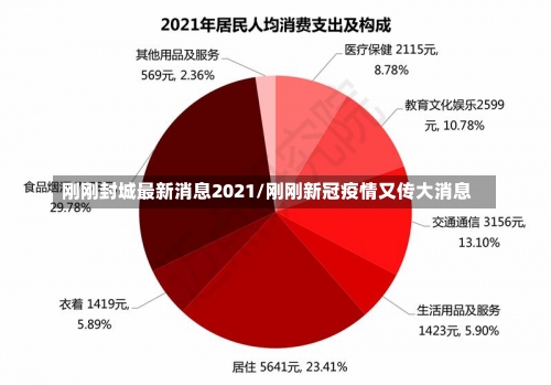 刚刚封城最新消息2021/刚刚新冠疫情又传大消息-第2张图片