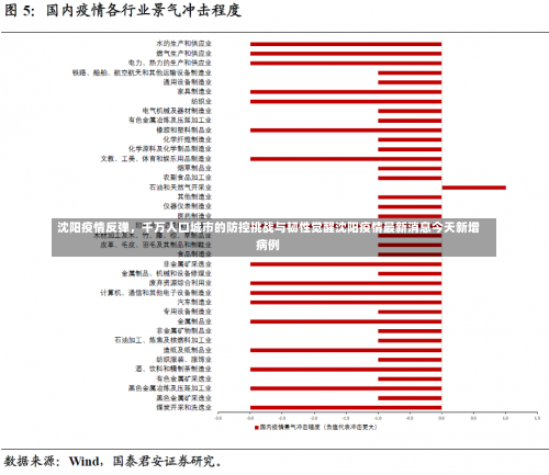 沈阳疫情反弹，千万人口城市的防控挑战与韧性觉醒沈阳疫情最新消息今天新增病例-第2张图片