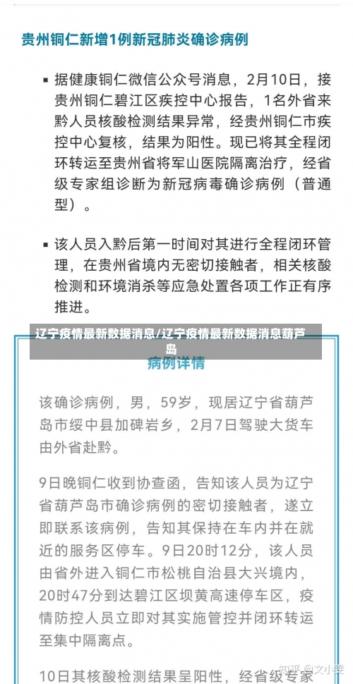 辽宁疫情最新数据消息/辽宁疫情最新数据消息葫芦岛-第1张图片