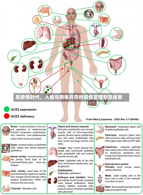 后疫情时代	，人类与病毒共存的韧性觉醒新冠结束-第3张图片