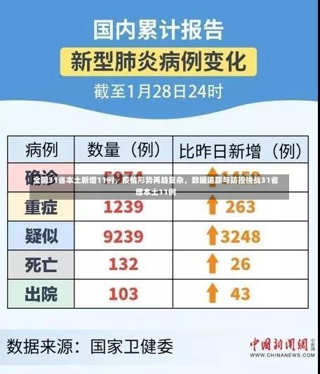 全国31省本土新增11例，疫情形势再趋复杂，数据追踪与防控挑战31省增本土11例-第1张图片