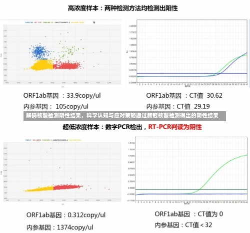 解码核酸检测阴性结果	，科学认知与应对策略通过新冠核酸检测得出的阴性结果-第3张图片