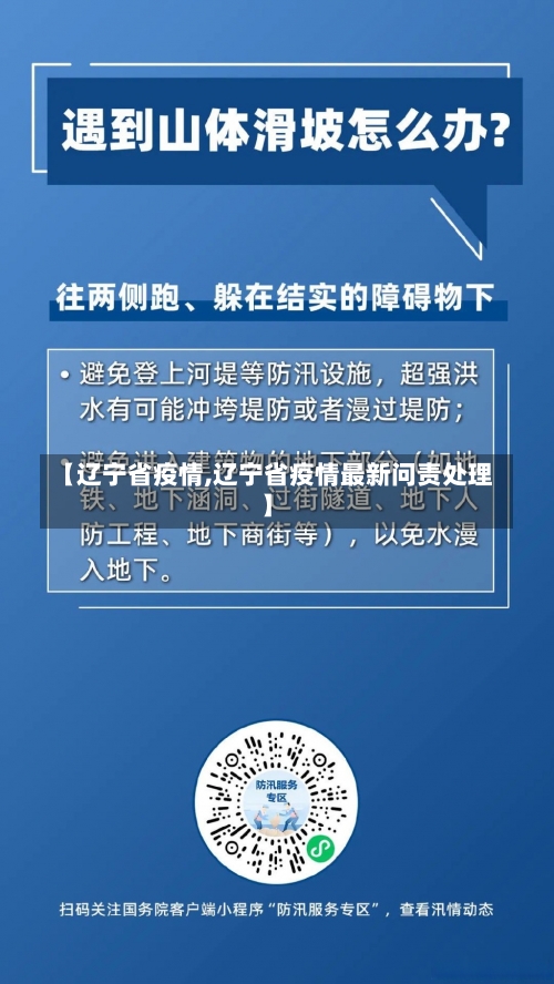 【辽宁省疫情,辽宁省疫情最新问责处理】-第3张图片