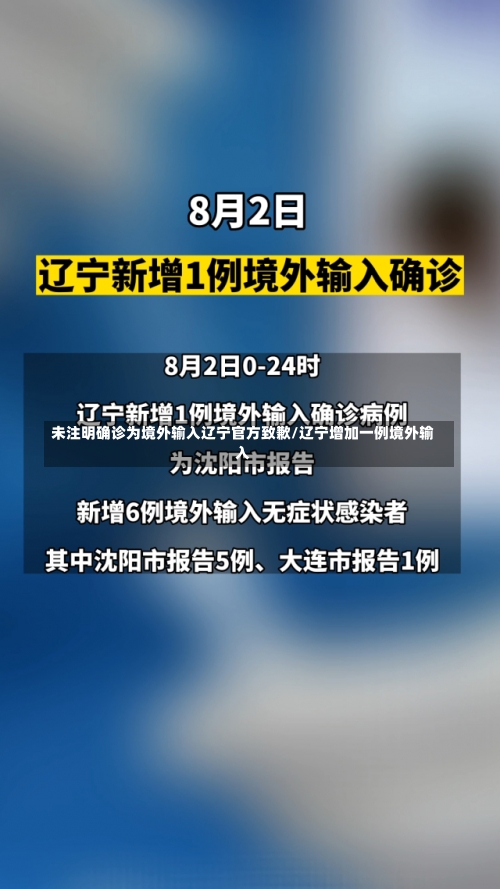 未注明确诊为境外输入辽宁官方致歉/辽宁增加一例境外输入-第2张图片