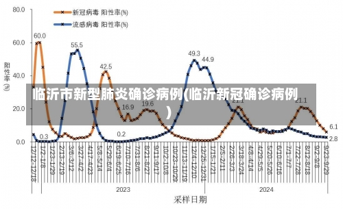 临沂市新型肺炎确诊病例(临沂新冠确诊病例)-第2张图片