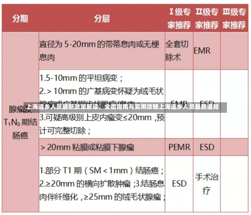 上海返乡人员最新政策解读，全面指南与实用攻略上海返乡人员最新通知-第1张图片