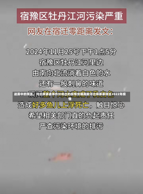 迷雾中的预言，河北疯婆婆事件折射出的疫情传播困局河北疯婆婆预言2022年疫情-第1张图片