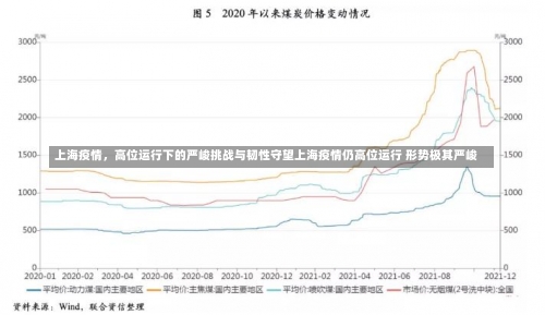 上海疫情，高位运行下的严峻挑战与韧性守望上海疫情仍高位运行 形势极其严峻-第2张图片