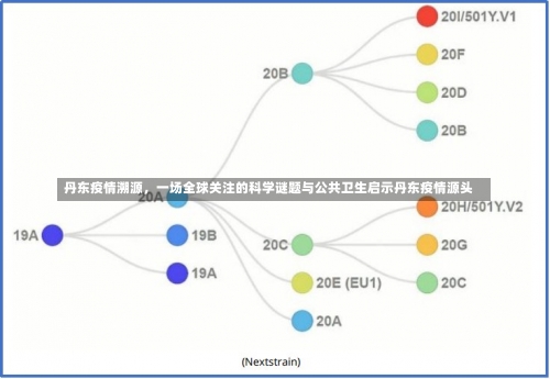 丹东疫情溯源，一场全球关注的科学谜题与公共卫生启示丹东疫情源头-第2张图片