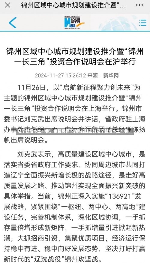 辽宁新增本土20例	，疫情反弹下的防控阻击战辽宁新增本土20例-第2张图片