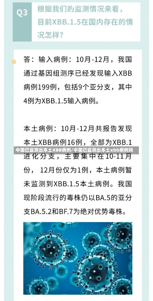 中国已监测出本土XBB病例/中国已监测出本土xbb病例吗-第2张图片