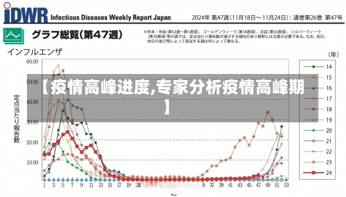 【疫情高峰进度,专家分析疫情高峰期】-第1张图片