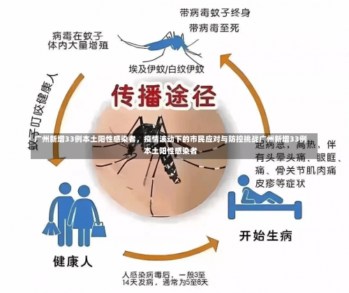 广州新增33例本土阳性感染者，疫情波动下的市民应对与防控挑战广州新增33例本土阳性感染者-第1张图片