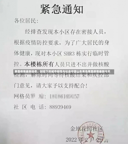 莱西疫情最新动态	，封控下的城市韧性与社会守望山东青岛莱西疫情最新今天-第1张图片