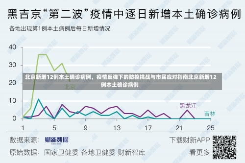 北京新增12例本土确诊病例	，疫情反弹下的防控挑战与市民应对指南北京新增12例本土确诊病例-第3张图片