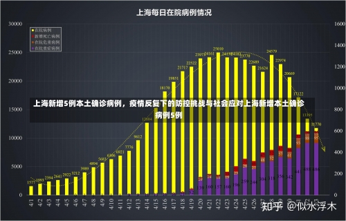 上海新增5例本土确诊病例	，疫情反复下的防控挑战与社会应对上海新增本土确诊病例5例-第1张图片