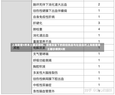 上海新增5例本土确诊病例，疫情反复下的防控挑战与社会应对上海新增本土确诊病例5例-第2张图片