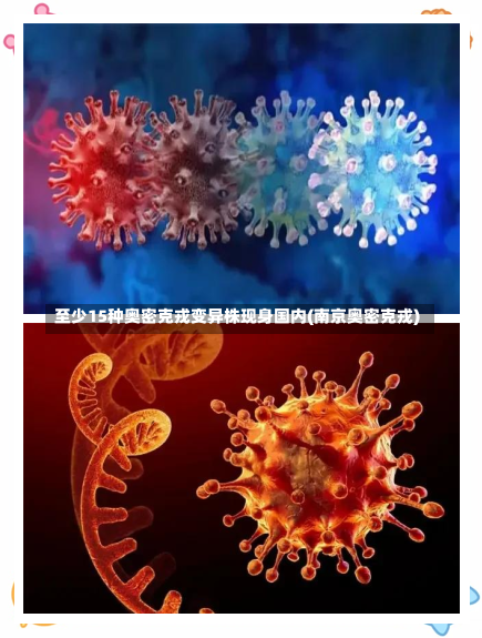 至少15种奥密克戎变异株现身国内(南京奥密克戎)-第1张图片