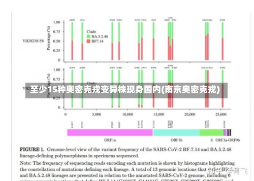 至少15种奥密克戎变异株现身国内(南京奥密克戎)-第2张图片