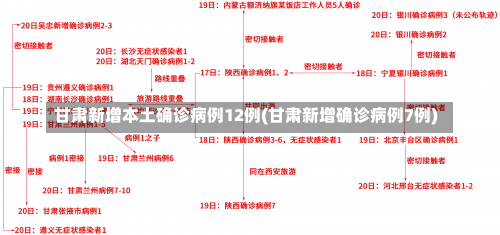 甘肃新增本土确诊病例12例(甘肃新增确诊病例7例)-第1张图片