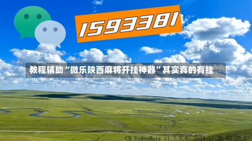 教程辅助“微乐陕西麻将开挂神器”其实真的有挂-第2张图片
