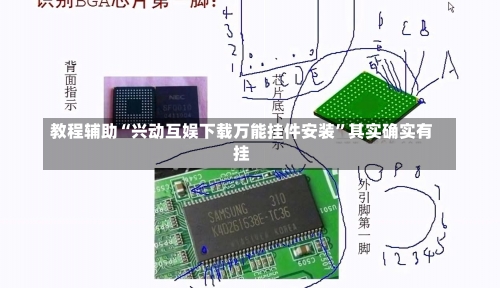 教程辅助“兴动互娱下载万能挂件安装”其实确实有挂-第1张图片