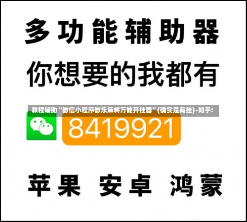 教程辅助“微信小程序微乐麻将万能开挂器”(确实是有挂)-知乎!-第2张图片