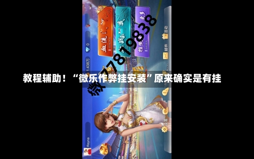 教程辅助！“微乐作弊挂安装”原来确实是有挂-第2张图片