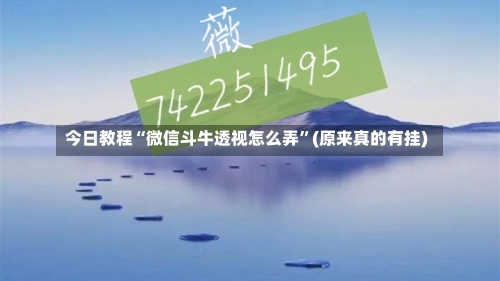 今日教程“微信斗牛透视怎么弄”(原来真的有挂)-第1张图片