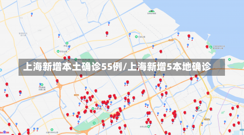 上海新增本土确诊55例/上海新增5本地确诊-第2张图片