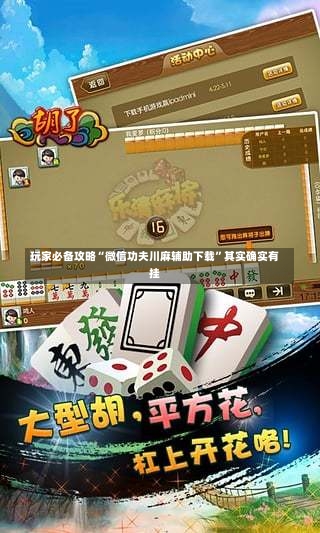 玩家必备攻略“微信功夫川麻辅助下载”其实确实有挂-第1张图片