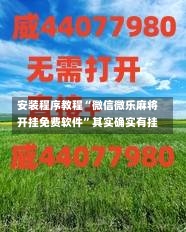 安装程序教程“微信微乐麻将开挂免费软件”其实确实有挂-第3张图片