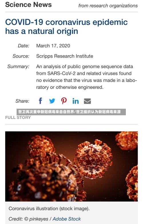 世卫再次重申新冠病毒来自自然界/世卫组织认为新冠病毒来源-第2张图片