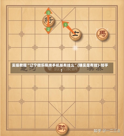 实操教程“辽宁微乐棋牌手机版有挂么”(确实是有挂)-知乎!-第2张图片