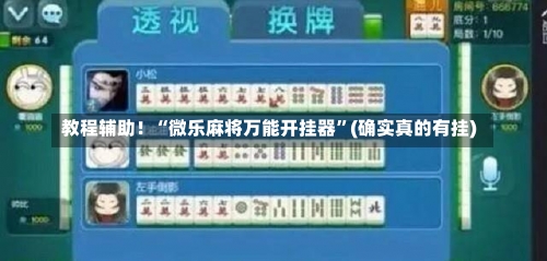 教程辅助！“微乐麻将万能开挂器”(确实真的有挂)-第2张图片
