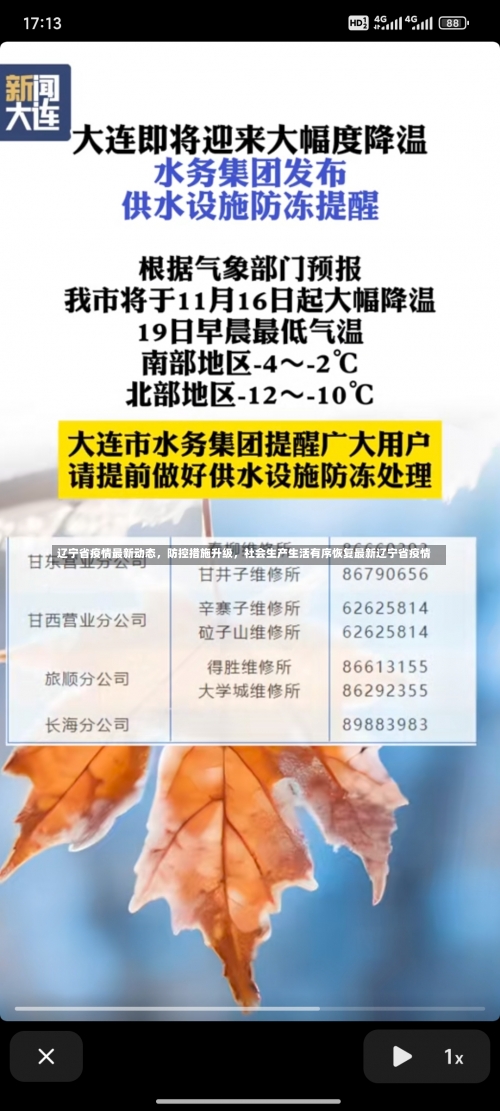 辽宁省疫情最新动态	，防控措施升级，社会生产生活有序恢复最新辽宁省疫情-第2张图片