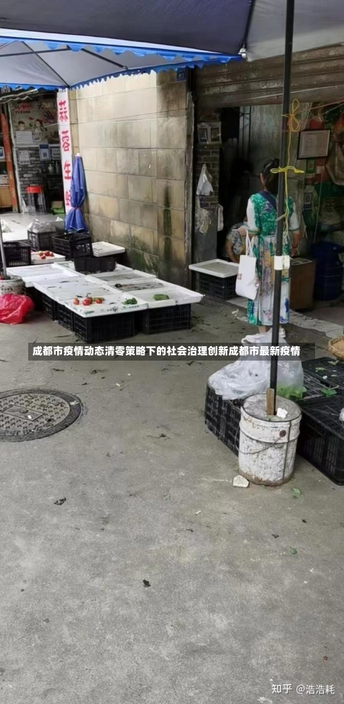 成都市疫情动态清零策略下的社会治理创新成都市最新疫情-第2张图片