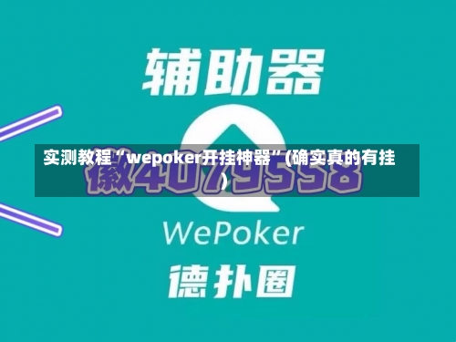 实测教程“wepoker开挂神器	”(确实真的有挂)-第2张图片