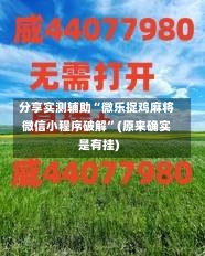 分享实测辅助“微乐捉鸡麻将微信小程序破解”(原来确实是有挂)-第2张图片