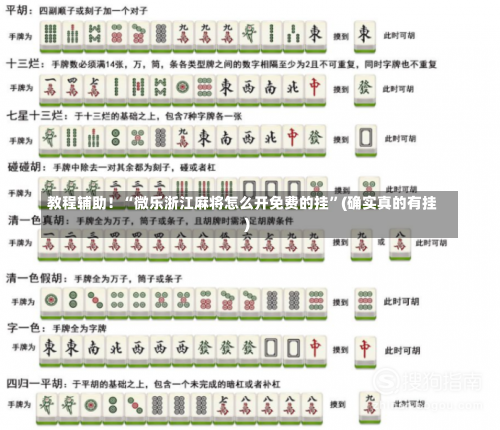 教程辅助！“微乐浙江麻将怎么开免费的挂	”(确实真的有挂)-第2张图片