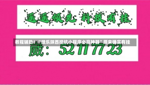 教程辅助！“微乐陕西挖坑小程序必赢神器”原来确实有挂-第2张图片